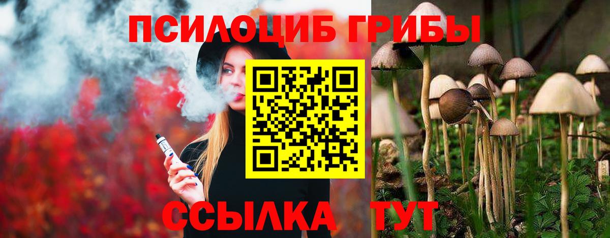Кропоткин  Галлюциногенные грибы прущие грибы  Вход с VPN 